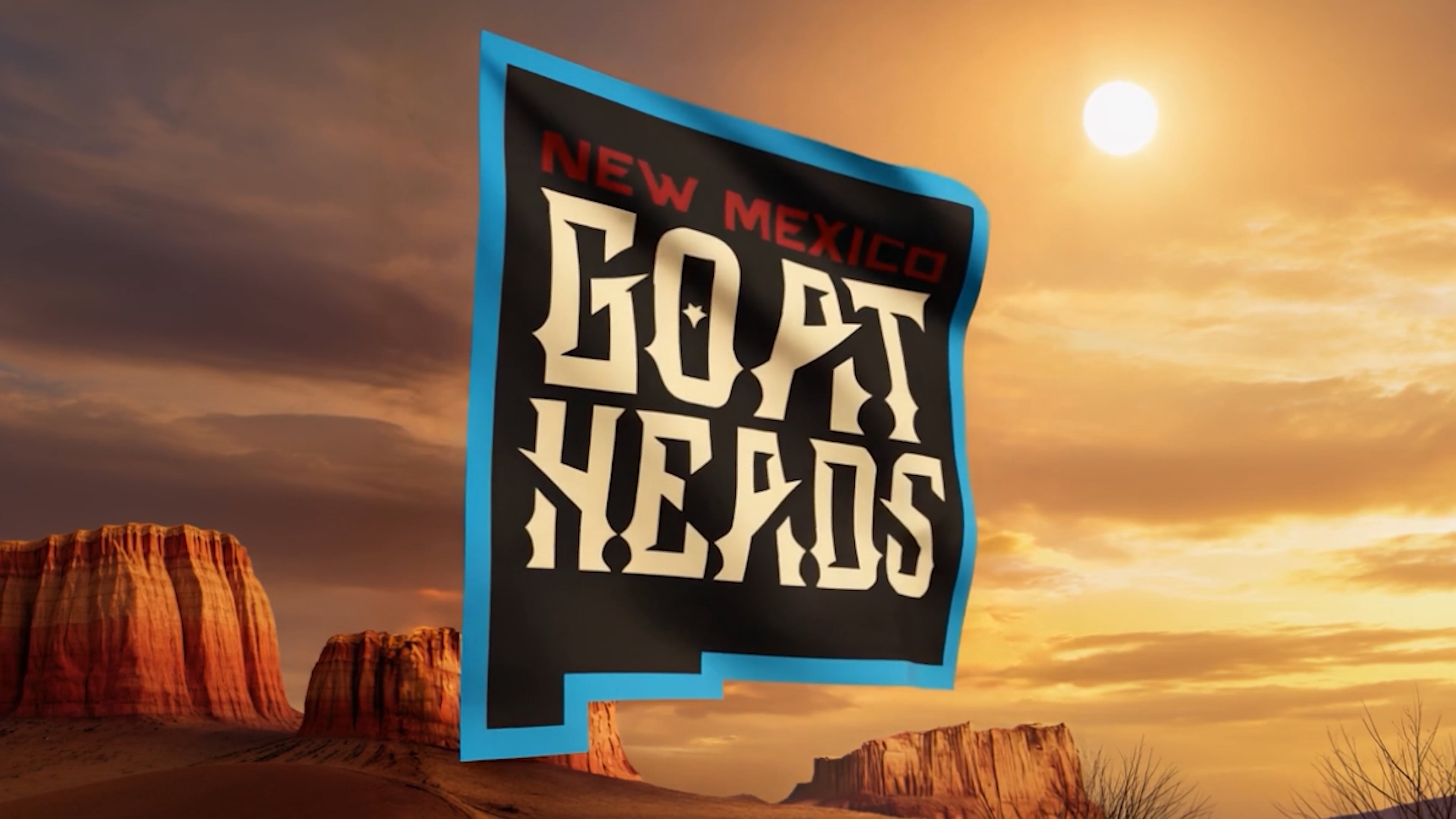 Professional Sports Campaign